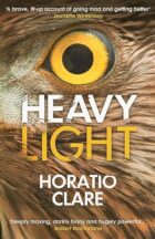 Heavy Light- a story of madness, mania and healing