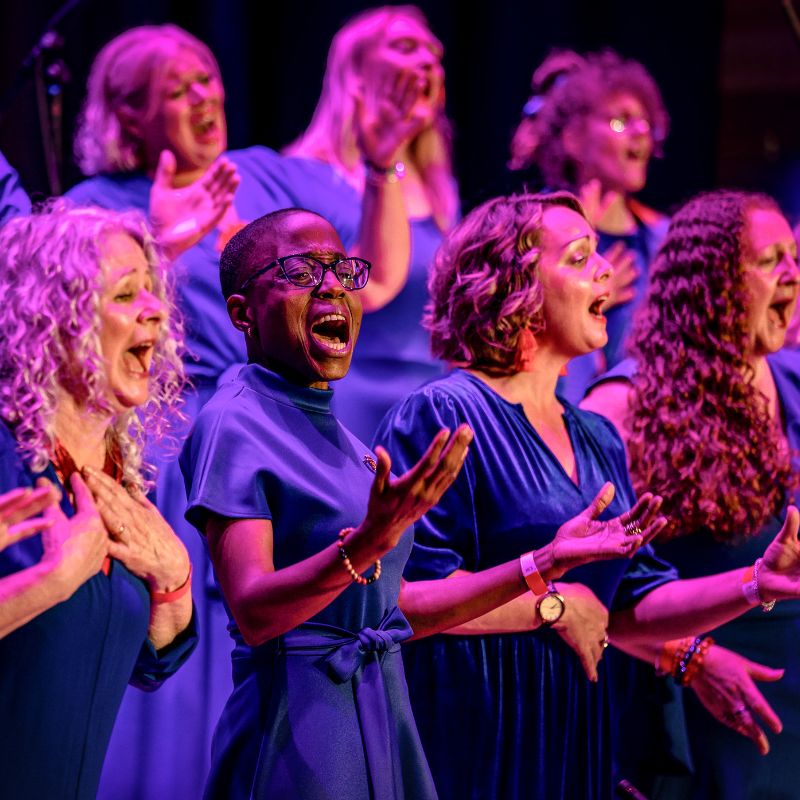 Blf 2024 Bradford Literature Festival