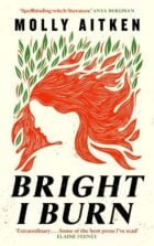Bright I Burn Book Cover