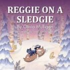 Reggie on a Sledgie - Reggie The Kitten