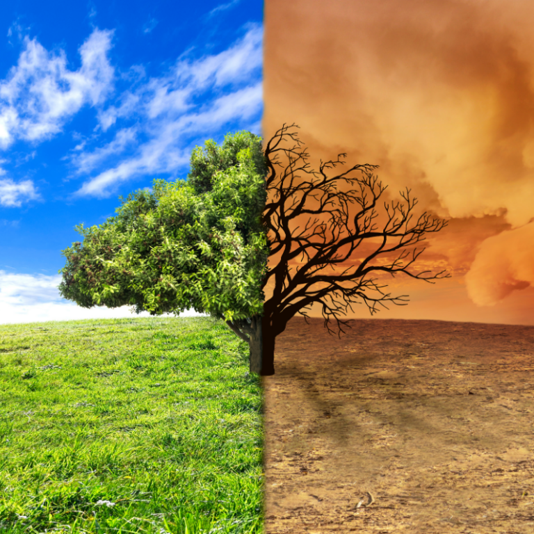 Who Decides the Future? Climate, Power and Action | Bradford Literature ...